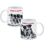 The Land Mug