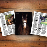 Horse Deals 2024 Horse Health Diary