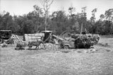 1065 Baling Hay Truck Horse
