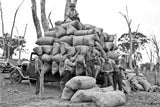 133 Truck laden with sacks 6 men
