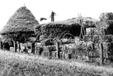 152 Baling & piles of hay