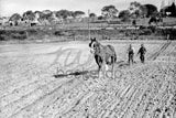 161 Ploughing the land