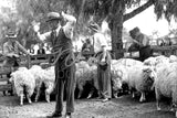 198 Auctioneers Getting Ready Heritage Print
