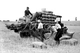 279 Loading bales