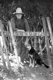 4003 Farmer dog leaning on fence