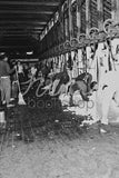 4060 Shearing Shed