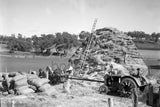 448 Baling hay