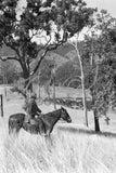 4607 Horse rider Drover