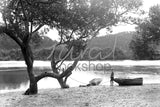 674 Boy Dinghy River