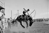 822 Rodeo Rider