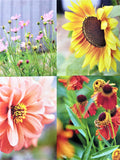 The Bee Friendly Garden