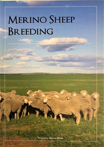Merino Sheep Breeding