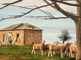 The Mallee: A journey Through North-West Victoria