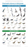 The Compact Australian Bird Guide