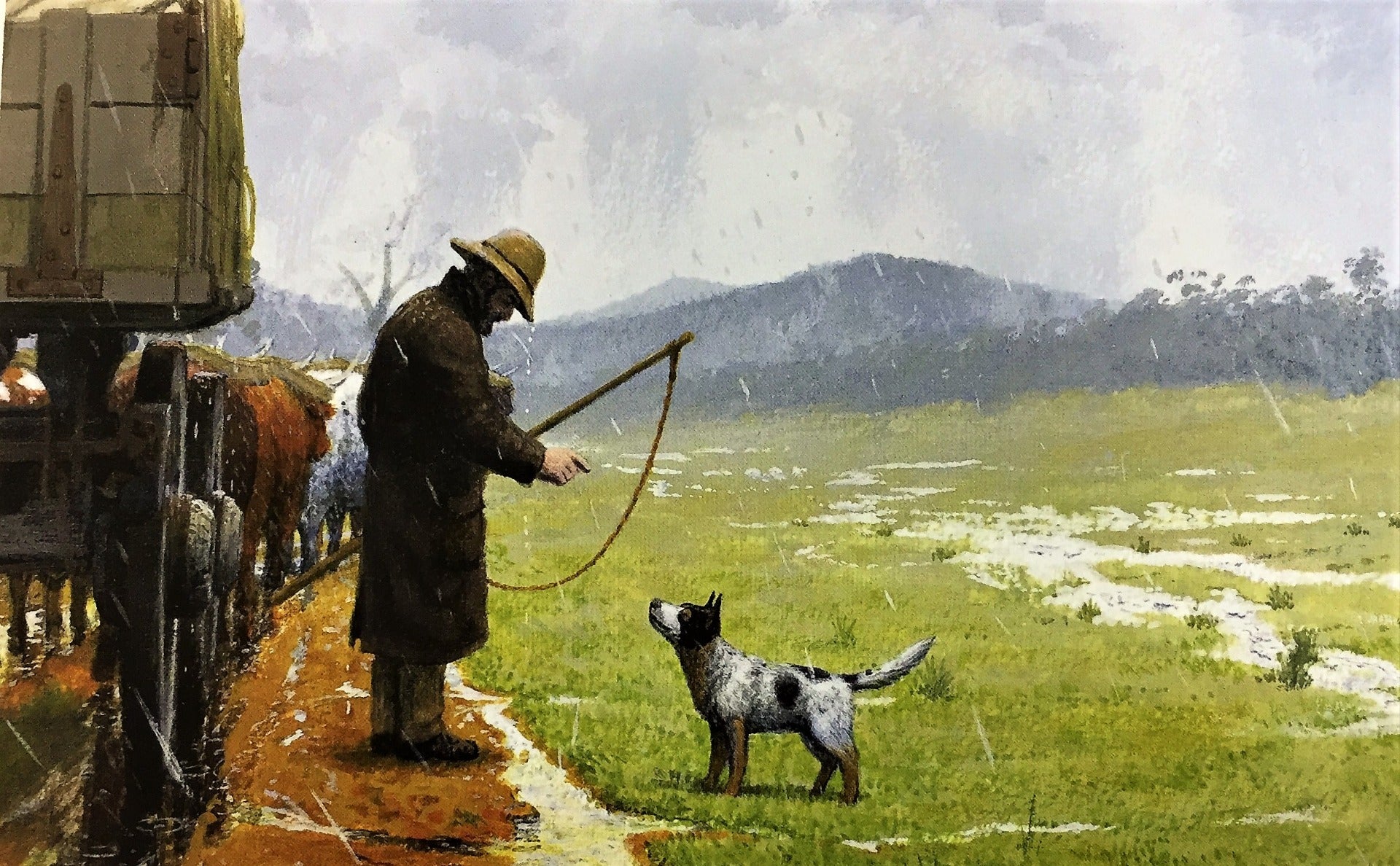 Animal tuckerbox online dog enclosure